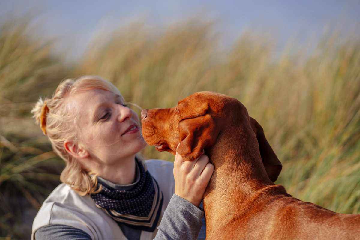 Cani: ecco le razze più affettuose